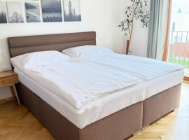 FamilyVilla, new 4 Luxury Big Apartments, parking，位于布拉格的酒店