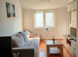 Apartman 10 - Dar Lux