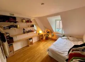 Cosy room in attic flat in the center of Zurich