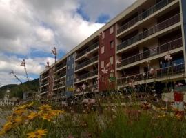 Appartement spacieux tout confort pied des pistes，位于雷莱克斯的酒店