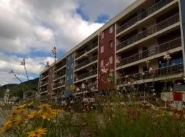 Appartement spacieux tout confort pied des pistes