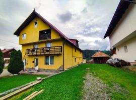 Pensiunea Buzdugan，位于莫伊西德约斯的酒店