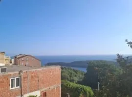 Apartmani Ž Budva