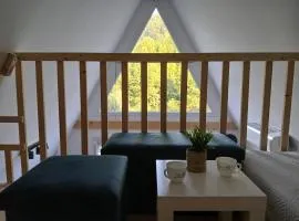 Vila SVITAC Banja Vrujci