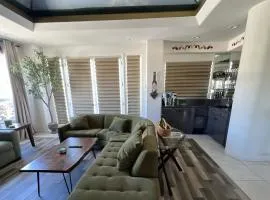 Mountain View Oasis