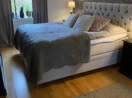 Central mysig villa 5-personer