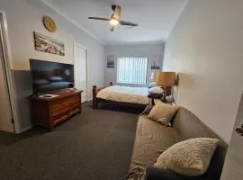Guest Room with Ensuite in Modern Home