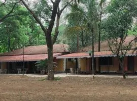Pinewood Resort