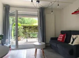 Ravissant studio avec terrasse à Torgon