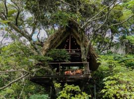 Yambaru Wild Treehouse Kidzy，位于Takee的酒店