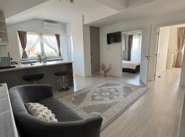 Golden Suite Apartment，位于勒德乌齐的酒店