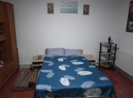 Casa Antonyo，位于茹里洛夫卡的木屋