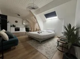 Appartement cœur de ville - Angers