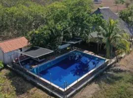 Vista Palmeras