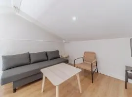 Elegant and spacious apartment for 4 people near Bellecour