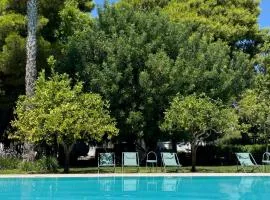 Chiusa Di Carlo Agriturismo