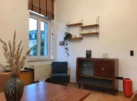 Stylische Mid-Century-Wohnung im Zentrum Plauens