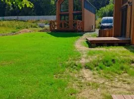 Brzozowy zakątek w Pokrzywnej