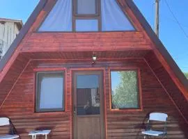 Cabana tip A la 250 metri de castelul Corvin