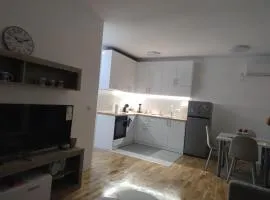 Apartman ZID