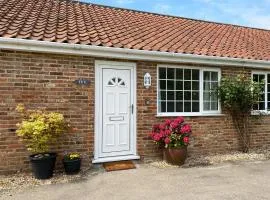 Ivy - Uk47373