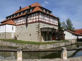 Burg Edelhof，位于格罗斯利布灵恩的酒店