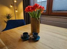 Elodia Luxus Apartment - WLAN, Magenta TV, Terrasse, Küche, Babybett