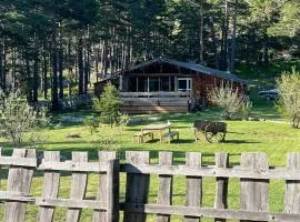 Chalet en rondin - La Moulière