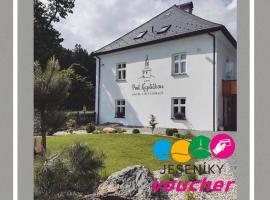 Hotel pod Kapličkou，位于小莫拉夫卡的酒店