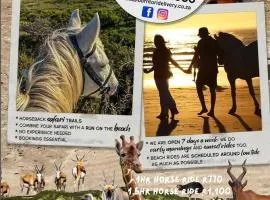 Born to Ride Safari & Beach Horse Rides