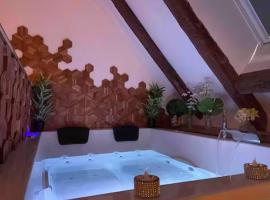 Love Room pour une escapade romantique avec Spa privatif，位于布尔日的酒店