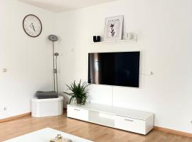 Ferienwohnung LAZ am Dreiländereck，位于巴特塞京根的酒店