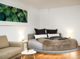 Private Wellness Suite mit Whirlpool & Free Parking，位于格拉茨的酒店