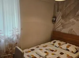Chambre confort - salle de bain - 5 mins Gare Annemasse