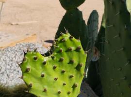 The Dome at Tribal Camp，位于约书亚树的酒店