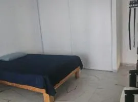 Céntrico León Guanajuato México