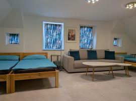 Moerth Apartment，位于Schalchham的酒店