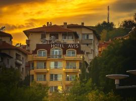 安飞士酒店，位于桑丹斯基的酒店