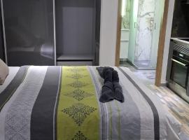 Panoramic studio，位于Surpierre的酒店