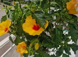 Einliegerwohnung mit 2 Zimmern, Badezimmer, küche