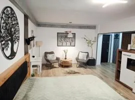 Bulevard 11