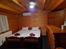 Dorgo House，位于Lipova的酒店