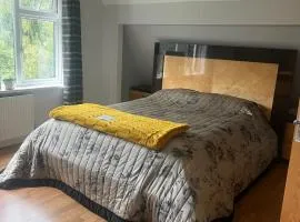 Zen suite