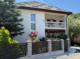 Pensiunea Grapini，位于Şanţ的酒店