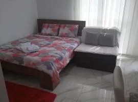 Apartman Markovic Silver Lake