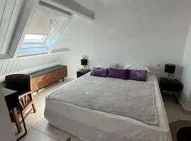 T2 Duplex Marina Centre ville