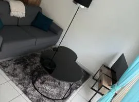 Appartement chaleureux
