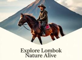 Rinjani Horse Riding BaseCamp，位于Masbagik的酒店
