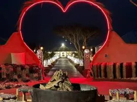 Desert Romantic Camp