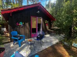 Le Cabanon entouré de Pins